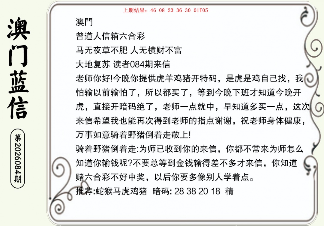 084期澳门蓝信A[图]